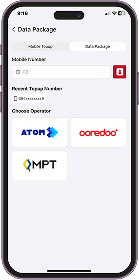 ayapay-data-pkg-mpt-step3